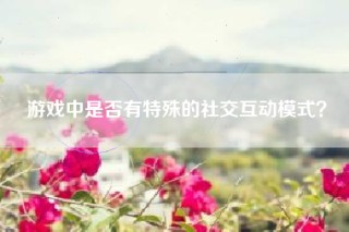游戏中是否有特殊的社交互动模式？