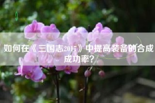 如何在《三国志2017》中提高装备的合成成功率？