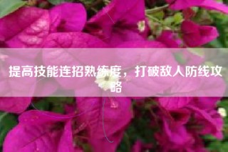 提高技能连招熟练度，打破敌人防线攻略