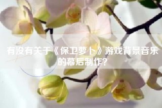有没有关于《保卫萝卜》游戏背景音乐的幕后制作？