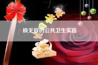极无双的公共卫生实践
