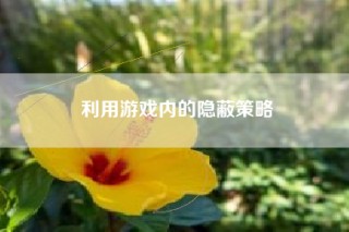 利用游戏内的隐蔽策略