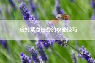 应对紧急任务的攻略技巧