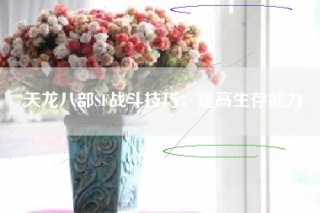 天龙八部SF战斗技巧：提高生存能力