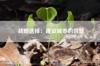 战略选择：建设城市的智慧