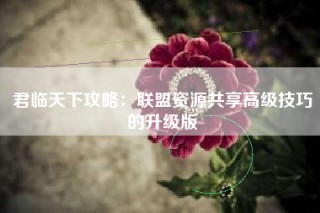 君临天下攻略：联盟资源共享高级技巧的升级版