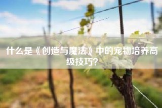 什么是《创造与魔法》中的宠物培养高级技巧？