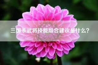 三国杀武将技能组合建议是什么？
