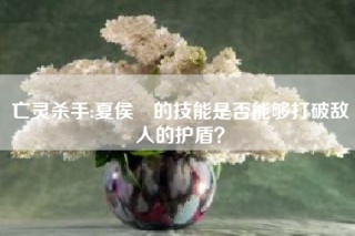 亡灵杀手:夏侯惇的技能是否能够打破敌人的护盾？