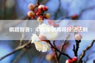 棋路智者：中国象棋高级技法法则