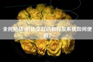 全民枪战2的社交互动和好友系统如何使用？