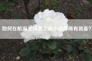如何在航海王强者之路中获得稀有装备？
