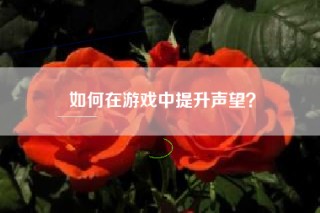 如何在游戏中提升声望？