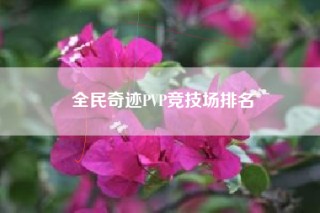 全民奇迹PVP竞技场排名