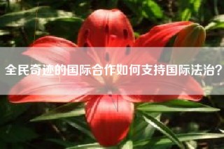 全民奇迹的国际合作如何支持国际法治？