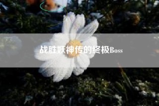 战胜妖神传的终极Boss