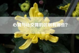心舞与社交舞的区别有哪些？