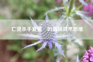 亡灵杀手夏侯惇的高级战术思维