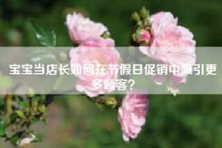 宝宝当店长如何在节假日促销中吸引更多顾客？