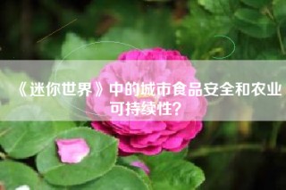 《迷你世界》中的城市食品安全和农业可持续性？
