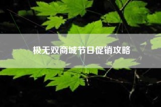 极无双商城节日促销攻略