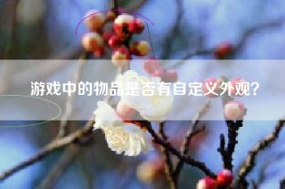 游戏中的物品是否有自定义外观？