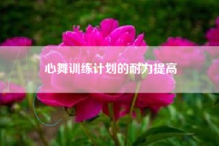 心舞训练计划的耐力提高