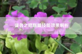 强者之路联盟技能效果解析