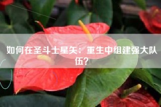 如何在圣斗士星矢：重生中组建强大队伍？