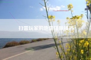 扫雷玩家的地雷排除技巧