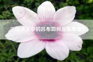 三国演义中的吕布如何反叛董卓？