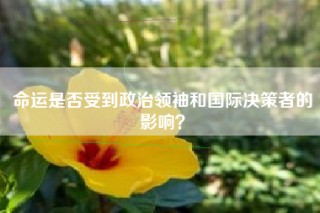 命运是否受到政治领袖和国际决策者的影响？