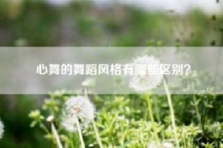 心舞的舞蹈风格有哪些区别？