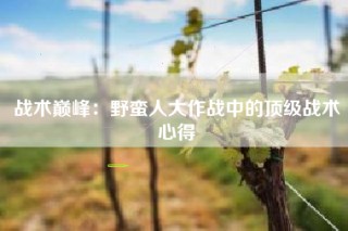 战术巅峰：野蛮人大作战中的顶级战术心得