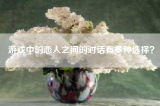 游戏中的恋人之间的对话有多种选择？