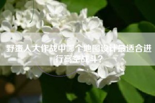 野蛮人大作战中哪个地图设计最适合进行高空战斗？