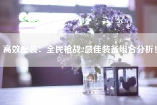 高效配装：全民枪战2最佳装备组合分析！