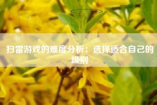 扫雷游戏的难度分析：选择适合自己的级别