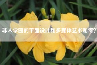非人学园的平面设计和多媒体艺术如何？