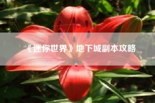 《迷你世界》地下城副本攻略