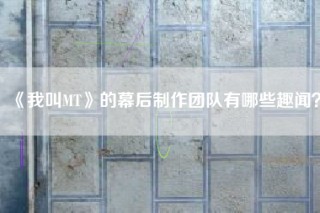 《我叫MT》的幕后制作团队有哪些趣闻？
