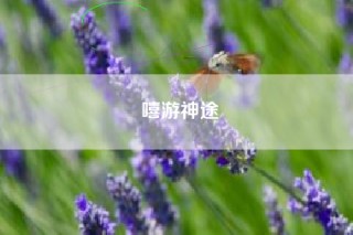 嘻游神途