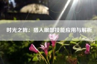 时光之眸：猎人眼部技能应用与解析