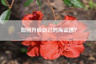 如何升级自己的海盗团？