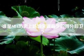 谁是NBA历史上场均失误最少的得分后卫？