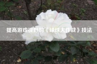 提高游戏视野的《球球大作战》技法