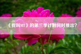 《我叫MT》的第三季计划何时推出？