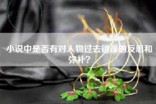 小说中是否有对人物过去错误的反思和弥补？