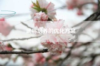 武将培养的优化方案