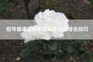 指导猎魂觉醒中提高竞技场排名技巧
